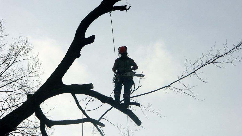 Vertical Works – Reparatur- und Montagearbeiten am Seil